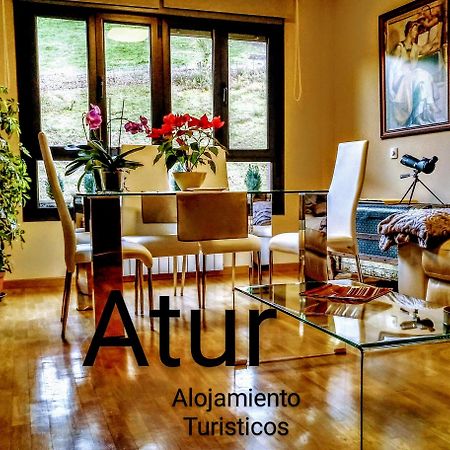 Atur Apartment Cangas de Onis Bagian luar foto