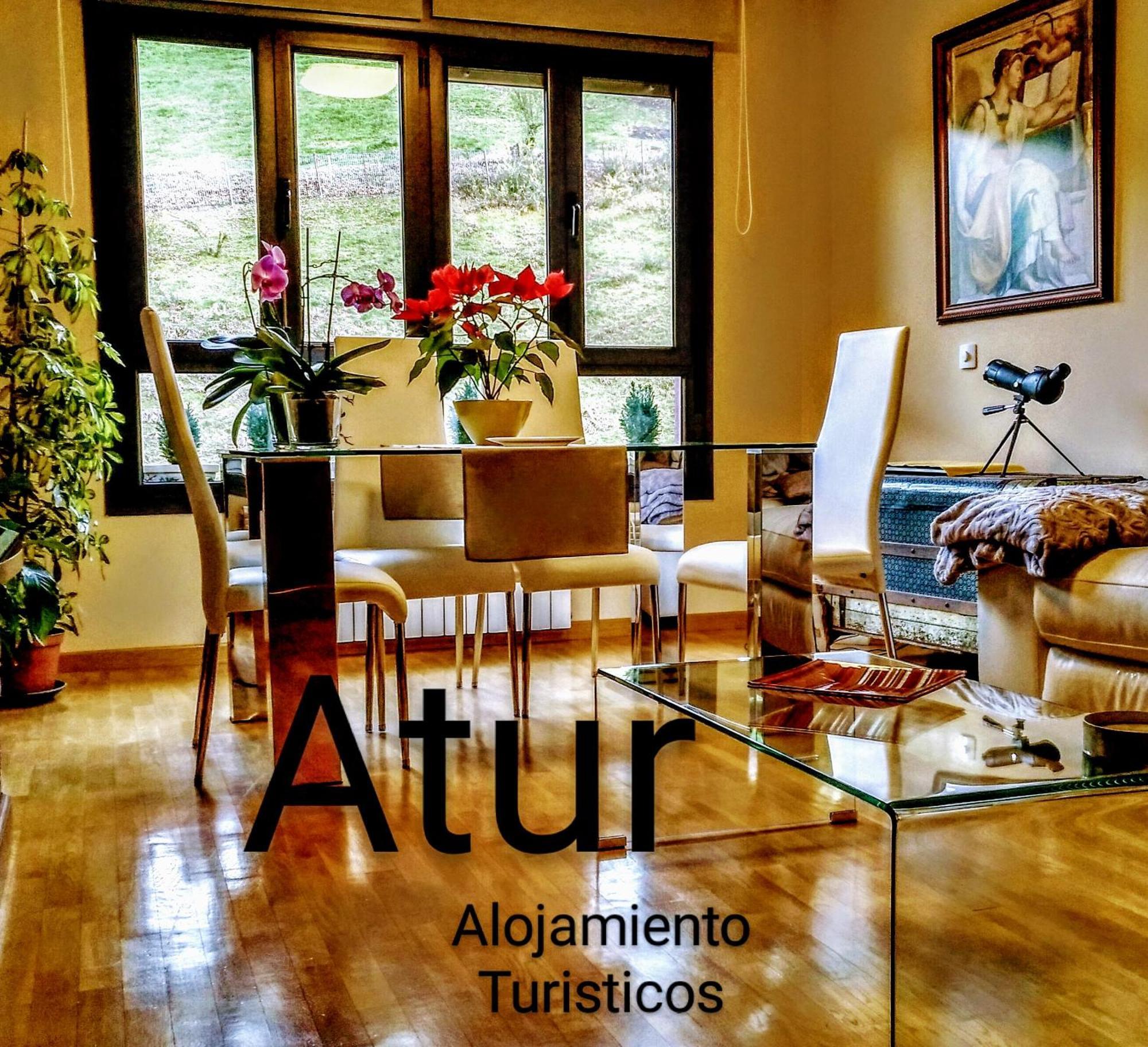 Atur Apartment Cangas de Onis Bagian luar foto
